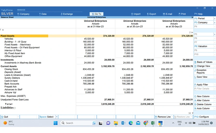 tally dubai,tally software